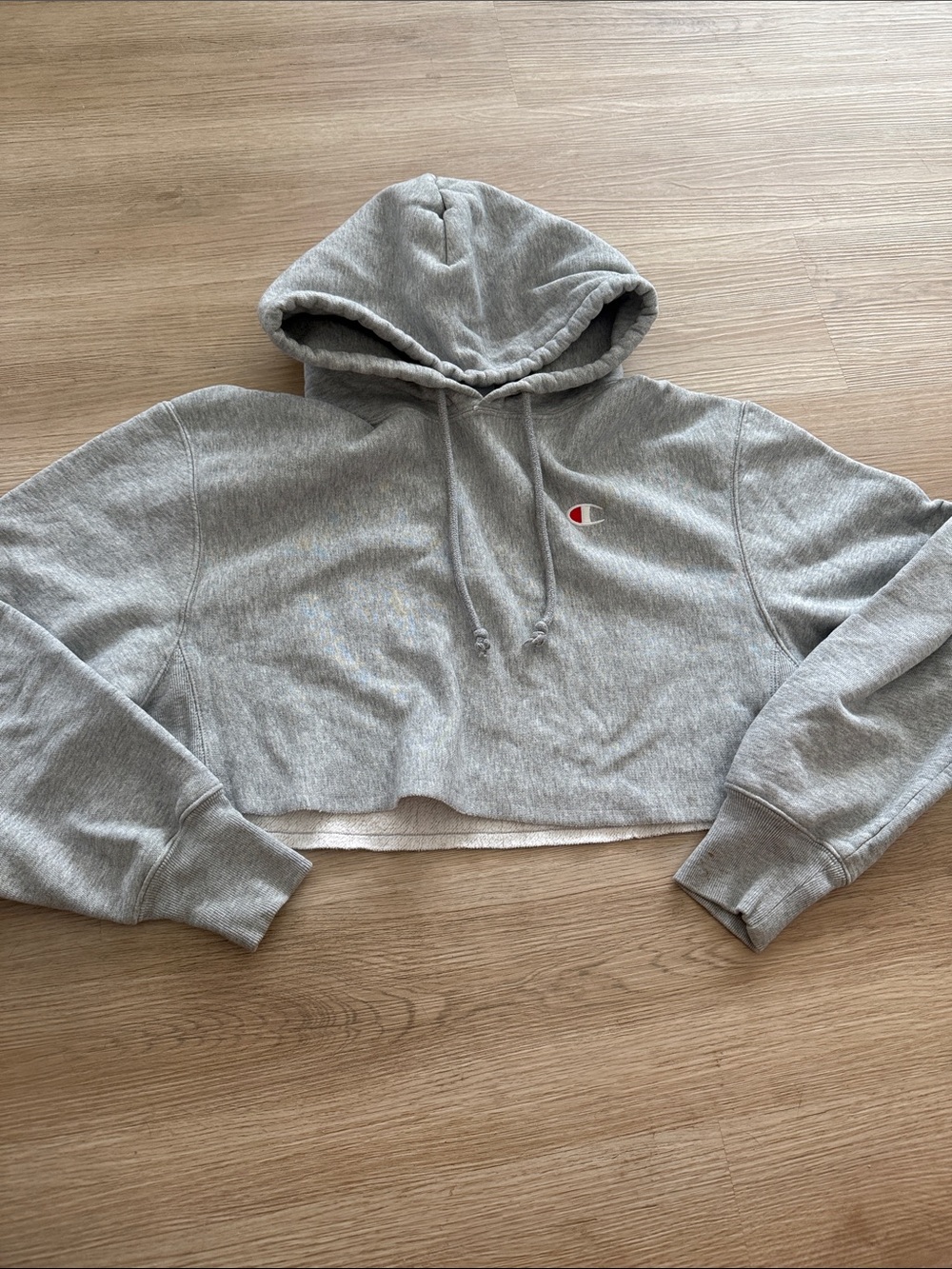 Champion cropped hoodie